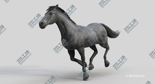 images/goods_img/20210312/Horse PRO ( Black ) 3D model/4.jpg